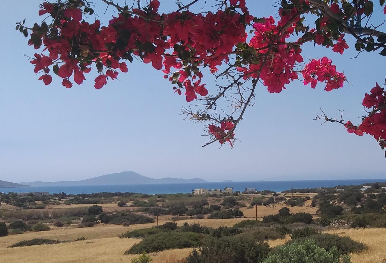 Appartement Haus Asterakia à Plage d'Aliko Extérieur photo