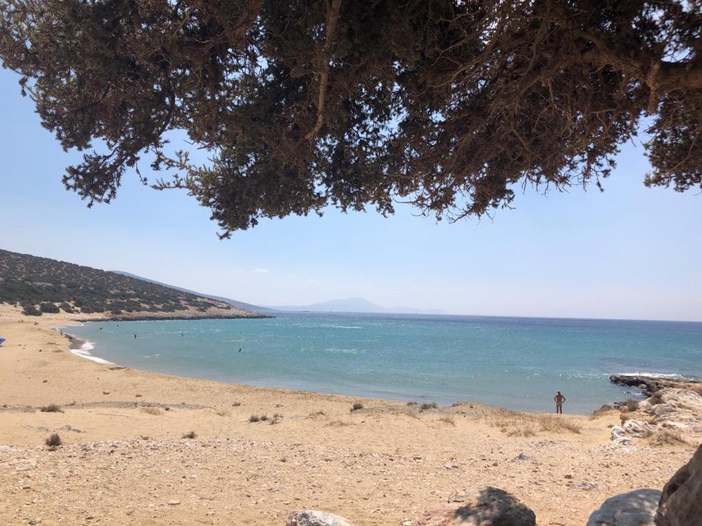 Appartement Haus Asterakia à Plage d'Aliko Extérieur photo