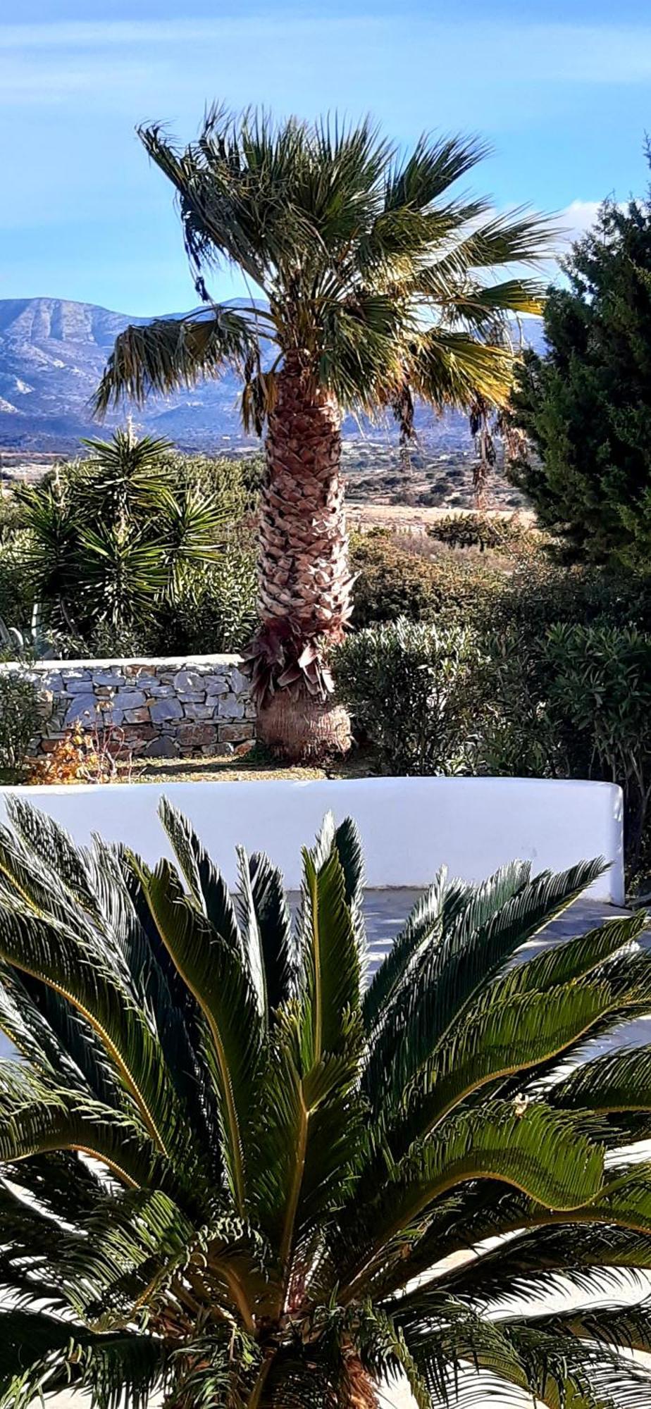 Appartement Haus Asterakia à Plage d'Aliko Extérieur photo